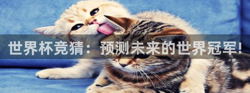 今年的世界杯：世界杯竞猜：预测未来的世界冠军!