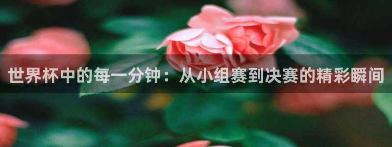 澳门世界杯直播：世界杯中的每一分钟：从小组赛到决赛的精彩瞬间