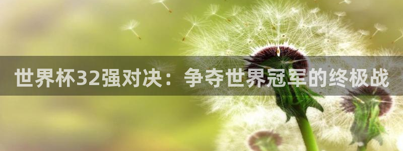 英格兰联赛杯直播：世界杯32强对决：争夺世界冠军的终极战