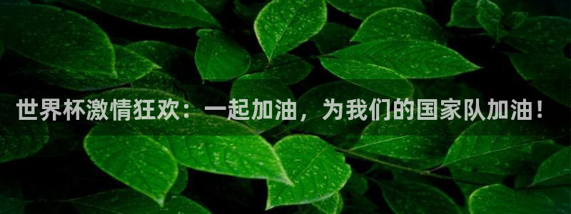 法国杯2026赛程表：世界杯激情狂欢：一起加油，为我们的国家队加油！