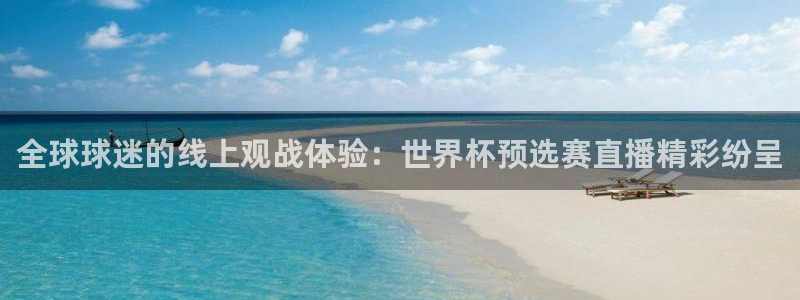 世界杯预选赛：全球球迷的线上观战体验：世界杯预选赛直播精彩纷呈
