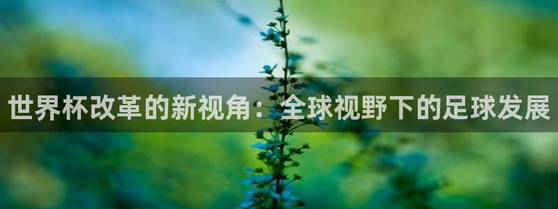 世界杯欧洲区赛程：世界杯改革的新视角：全球视野下的足球发展