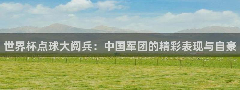世界杯比赛赛程：世界杯点球大阅兵：中国军团的精彩表现与自豪