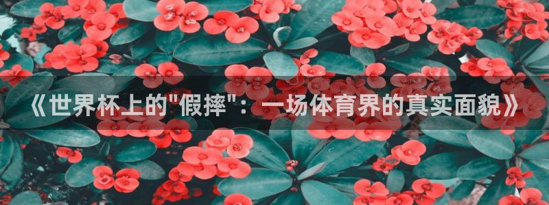 世界杯比赛时间：《世界杯上的\