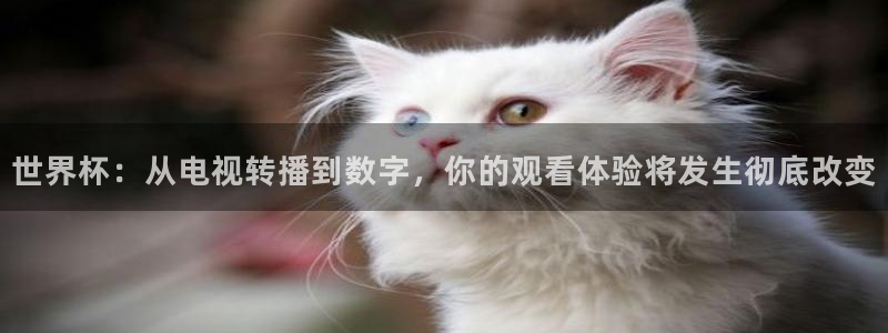 世界杯第一场比赛：世界杯：从电视转播到数字，你的观看体验将发生彻底改变
