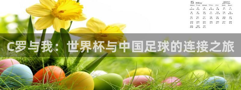 世界杯 直播:C罗与我:世界杯与中国足球的连接之旅