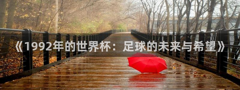 2006年世界杯冠军：《1992年的世界杯：足球的未来与希望》