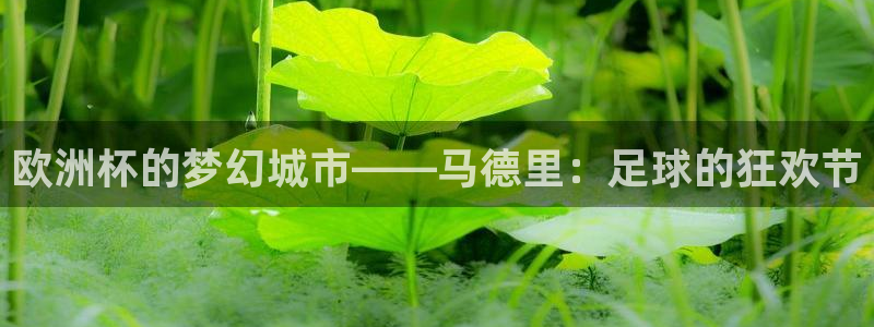 中国 世界杯：欧洲杯的梦幻城市——马德里：足球的狂欢节
