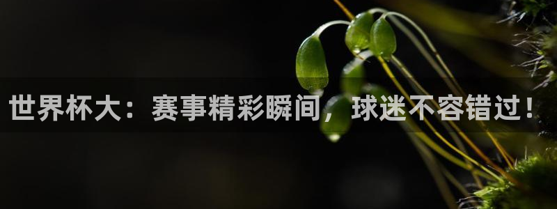 世界杯官网入口：世界杯大：赛事精彩瞬间，球迷不容错过！
