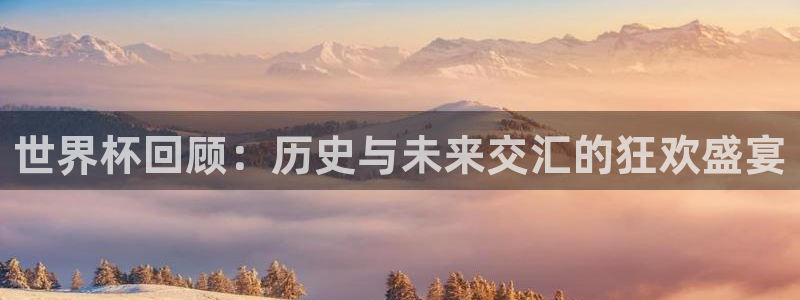 世界杯球队：世界杯回顾：历史与未来交汇的狂欢盛宴